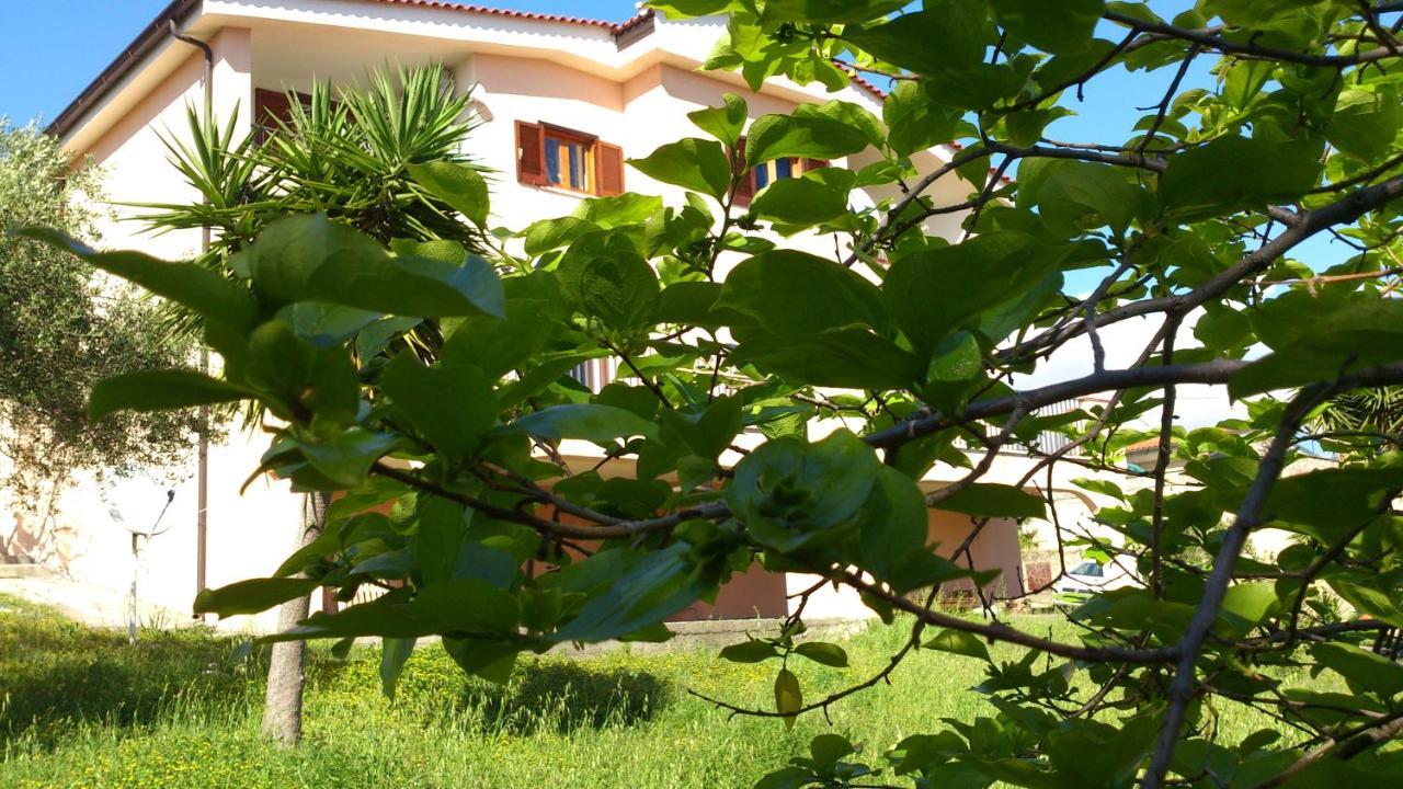 Bed and Breakfast Borgo Marinaro à Marina di Camerota Extérieur photo